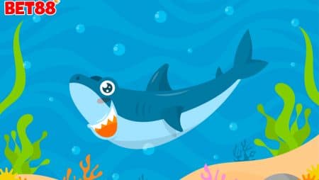 Bí kíp chơi bắn cá Momo Fishing luôn chiến thắng tại W88