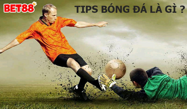 Cùng tìm hiểu các loại Tips bóng đá tại nhà cái hiện nay