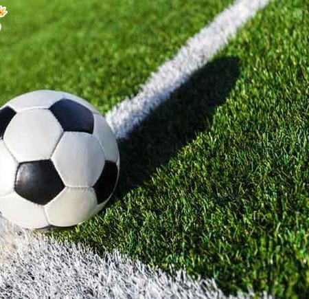 TOP 5 phần mềm bào cỏ được sử dụng trong bóng đá hiện nay