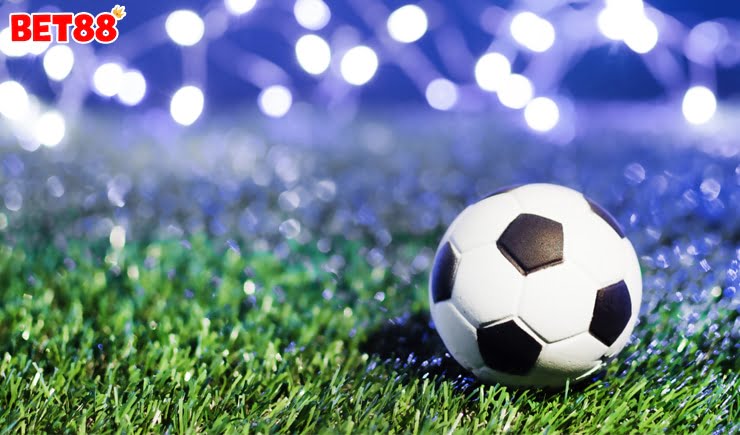 Kèo lựa là gì? Bí quyết đặt kèo lựa giành chiến thắng