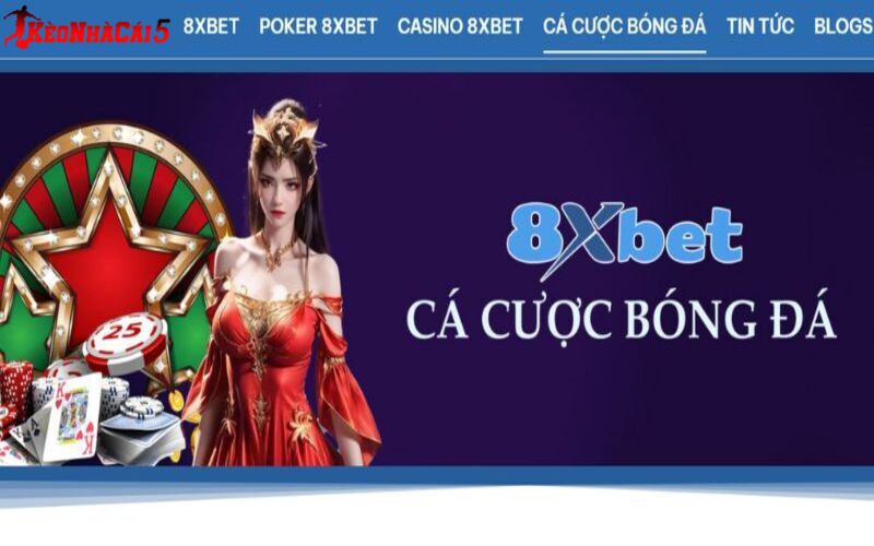 8XBET sân chơi giải trí bóng đá uy tín hàng đầu